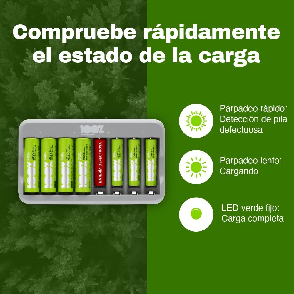 100%PeakPower Cargador Pilas Recargables AA y AAA